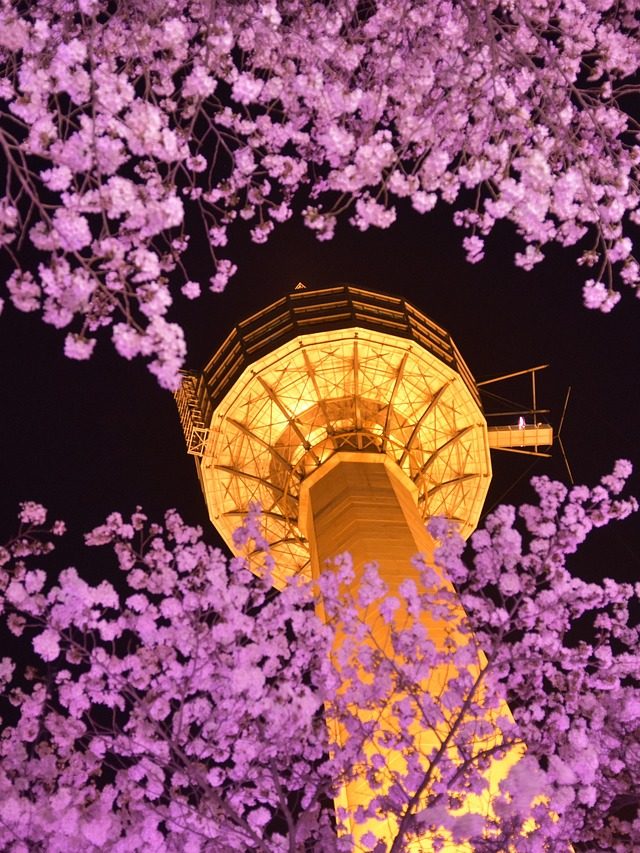 E-World (Daegu) E-World (Daegu)